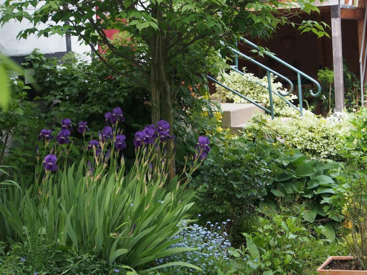 Ferienhaus Im Fachwerkhof 'Haus In Bewegung' Seelscheid Ngoại thất bức ảnh